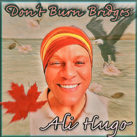 Don't Burn Bridges by Ali Hugo