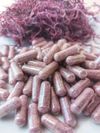 Purple seamoss capsules 60 ct
