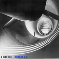 Bullet From the Blue by M D Smith