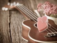 Murphy 6 @Seagrass