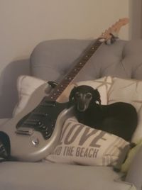 Murphy 6 @Seagrass