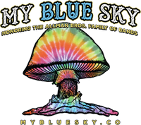 My Blue Sky brings The Allman Brothers to Colorado Springs
