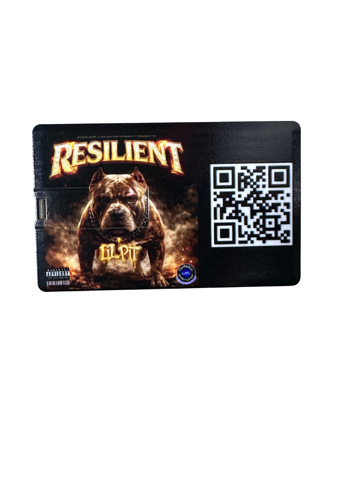"Resilient" EP (USB)
