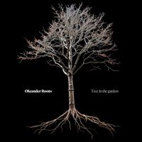 Oleander Roots by Oleander Roots
