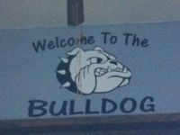 The Bulldog