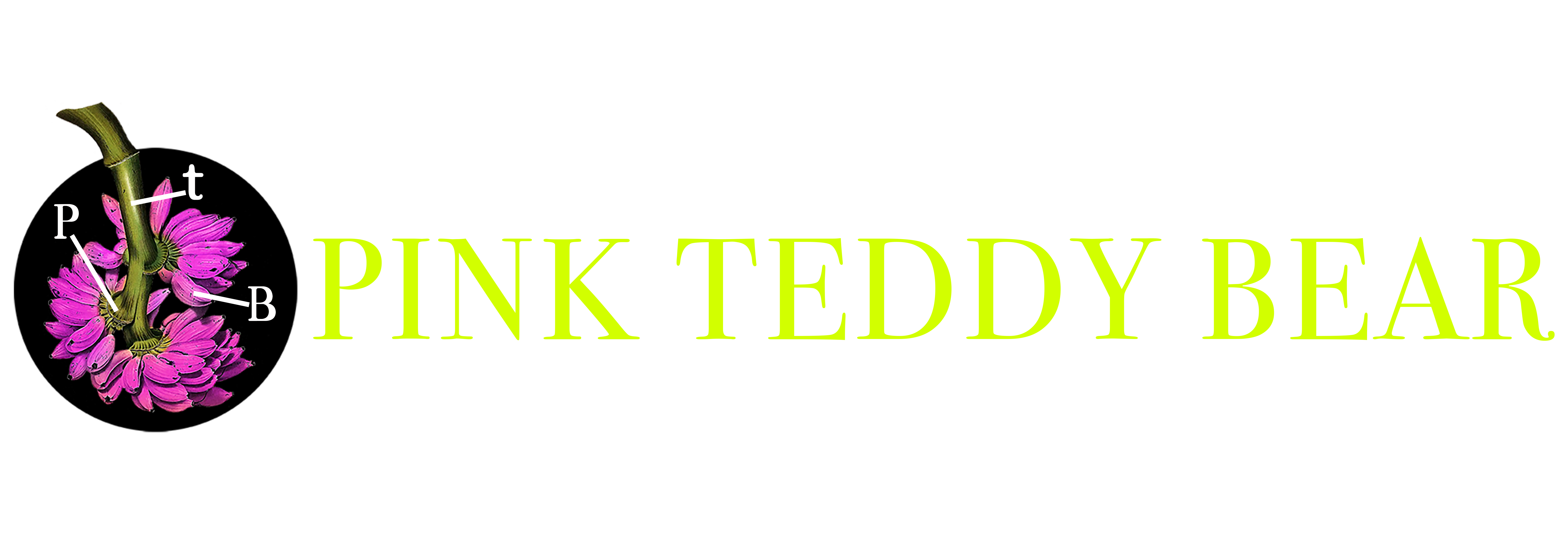 Pink Teddy Bear