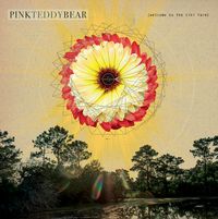 Pink Teddy Bear vinyl reelase live show