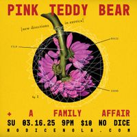 Pink Teddy Bear