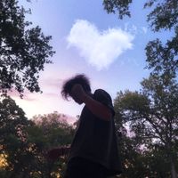 DREAMS & VICES by Lando Wayland
