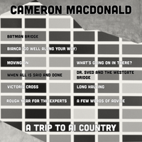A Trip To AI Country  by Cameron MacDonald