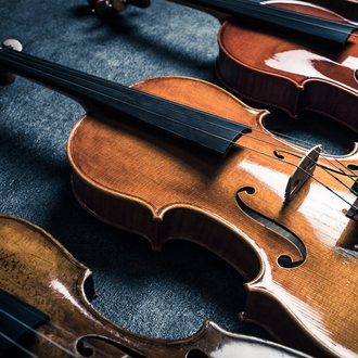 a group of violins