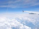 Fly High