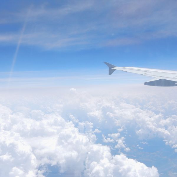 Fly High