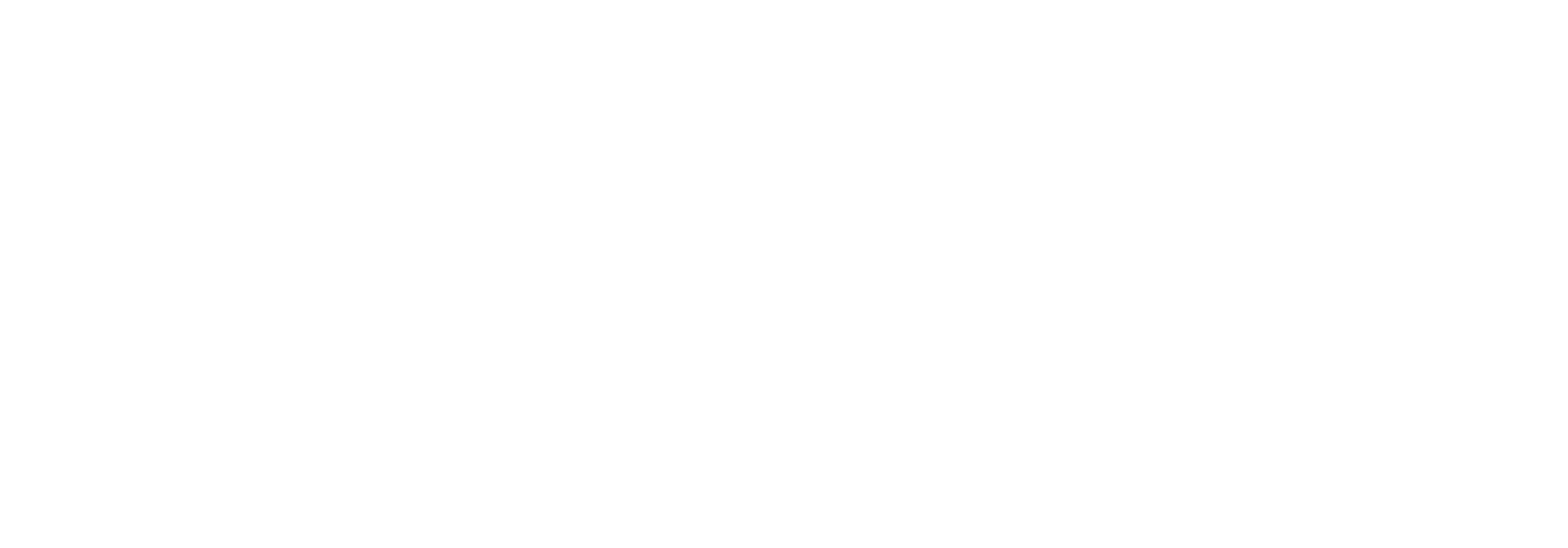 Joanne Bird