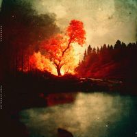 kerosene by preston woolsey