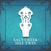 Tablature - Salt Creek Self Twin [.tef]