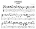 Bluebird - Original by Ryan Walsh