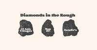 Diamonds in the Rough 2026 - A John Prine Tribute Show -- to benefit  NAICCO's Land Back campaign