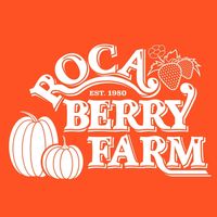 Hansen Airship live at Roca Berry Farm
