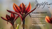 Valerie Troutt - Jazz and Poetry Month Celebration
