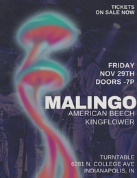 Malingo with American Beech & Kingflower at Turntable