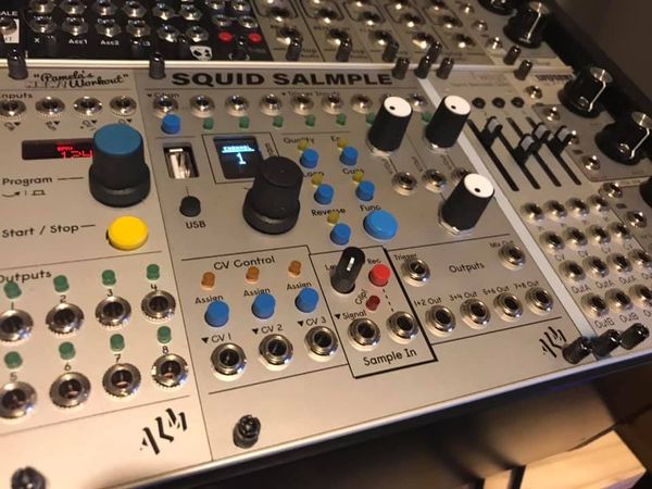 ALM Squid Salmple - Sampler Review