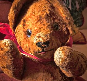 Maarri's old teddy bear, well worn and much loved.