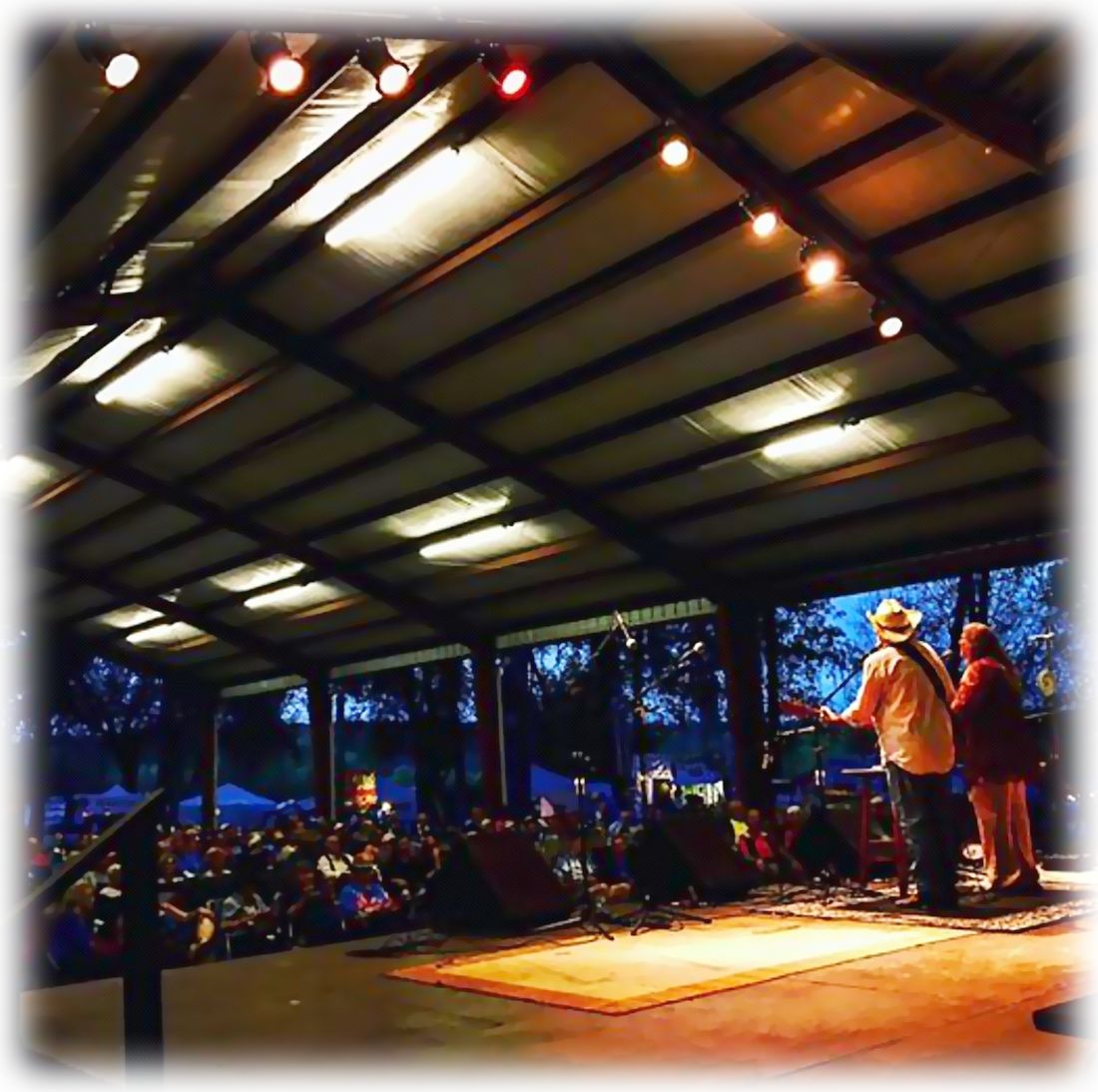 Maggie's Musical Farm