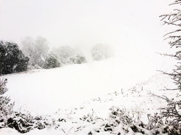 Snow!