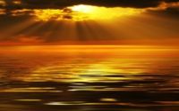 shutterstock_6048193_1000x625_375x234_200x125.jpg