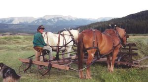 homesteading; teamster; gypsy cowbelle, miss v, ranching, western history