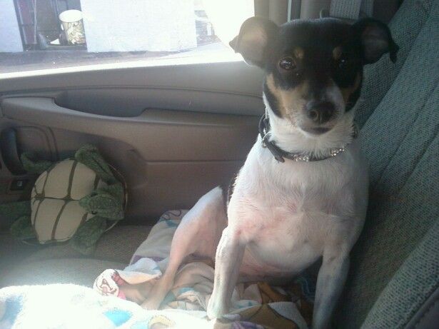 tootie_traveling.jpg