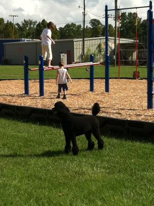 Road Trips are Always More Fun with a Little Detour for Play!