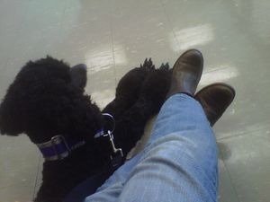 Giselle and I patiently waiting to be called at LSU clinic
