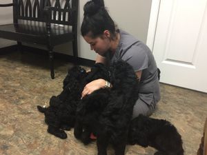 Visiting with Dr. Amster of St.Bernard Veterinary Hospital at their Wellness visit