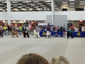 Cartier in the continental showing off his fine pigment at PCA
