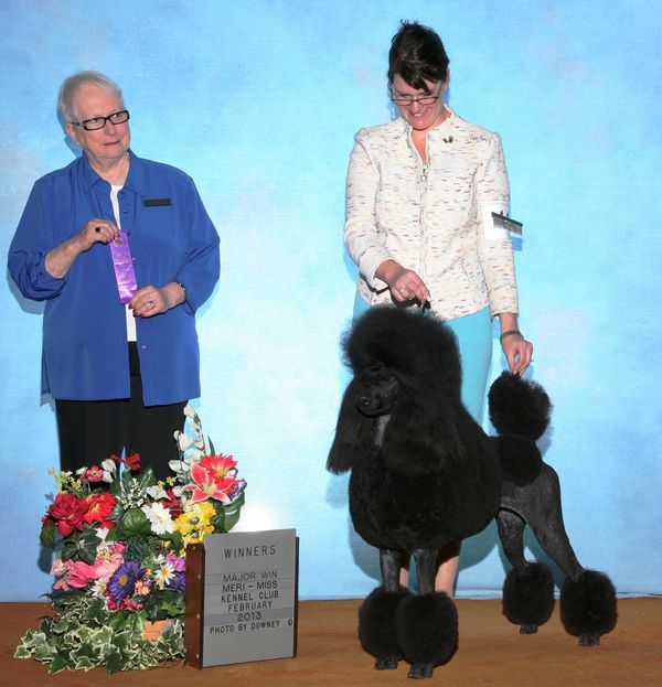 Ch Cali pictured with handler, Sarah Perchick.