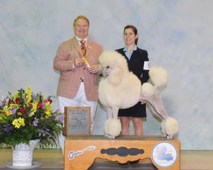 L to R - Judge, Mr. William Usherwood, Armani (Ch. Donnchada Sweet Talk) & Me!