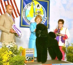 Ch. Aleph American Idol (Handler Betty Brown of Donnchada)- 