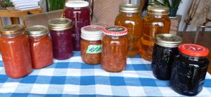 Photo of canned goods in reused glass jars